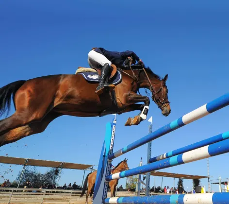 Horse and jockey jumping over a hurdle